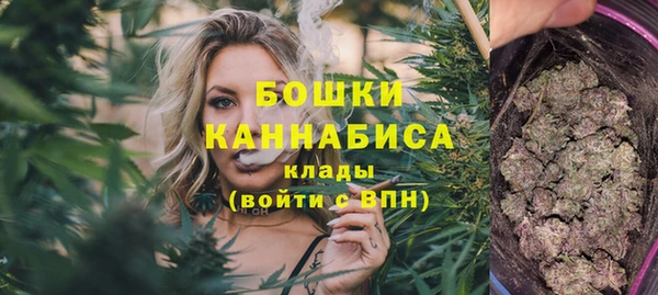 мет Ладушкин