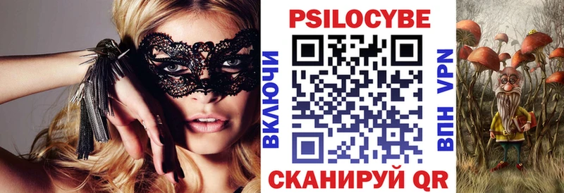 Псилоцибиновые грибы Cubensis  Сычёвка 